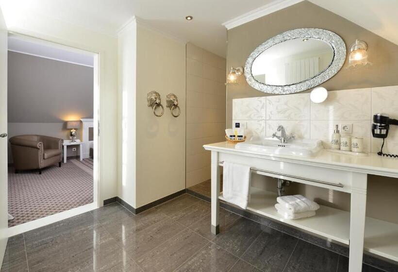 스탠다드 룸, Alte Schule