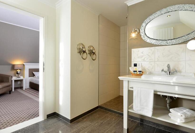 스탠다드 룸, Alte Schule