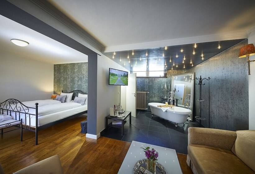 스탠다드 룸, Alte Schule