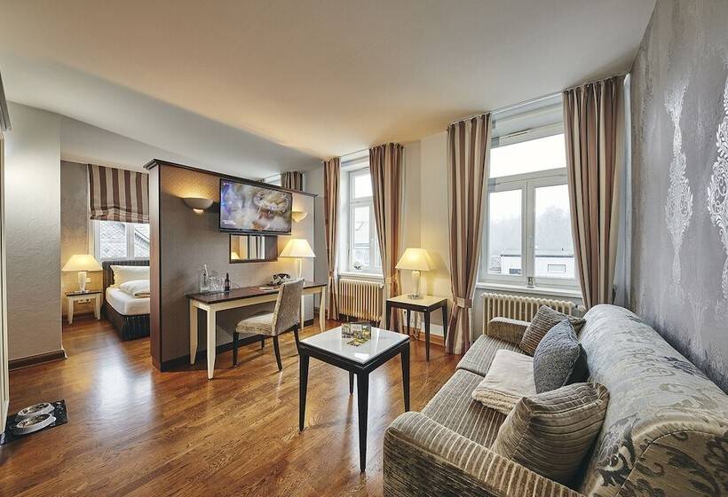 스탠다드 룸, Alte Schule