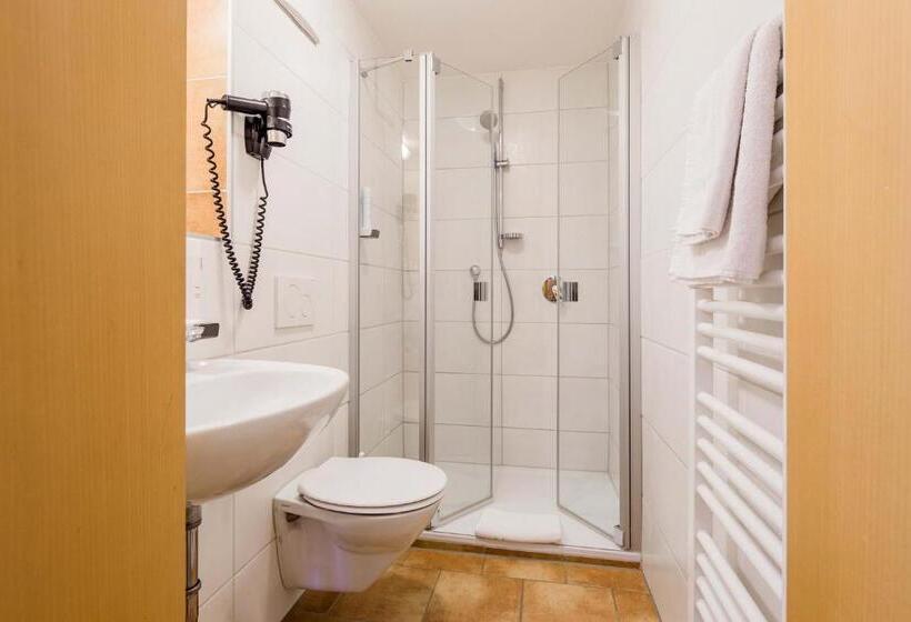 舒适型房间, Bayrischer Löwe