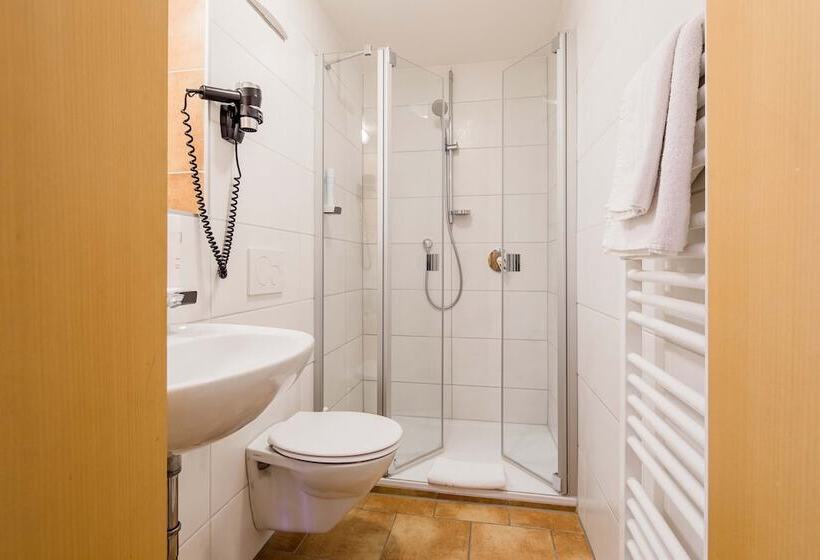 舒适型房间, Bayrischer Löwe