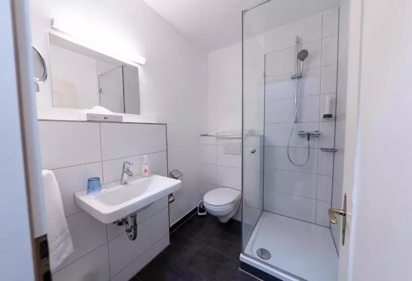 Standard Single Room Single Bed, Bergbauer
