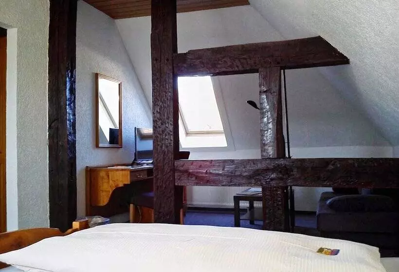 اتاق استاندارد, Burg Breuberg