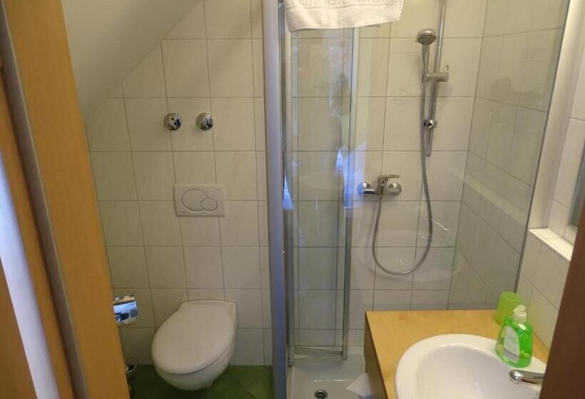 Одноместный Номер Basic, Demling