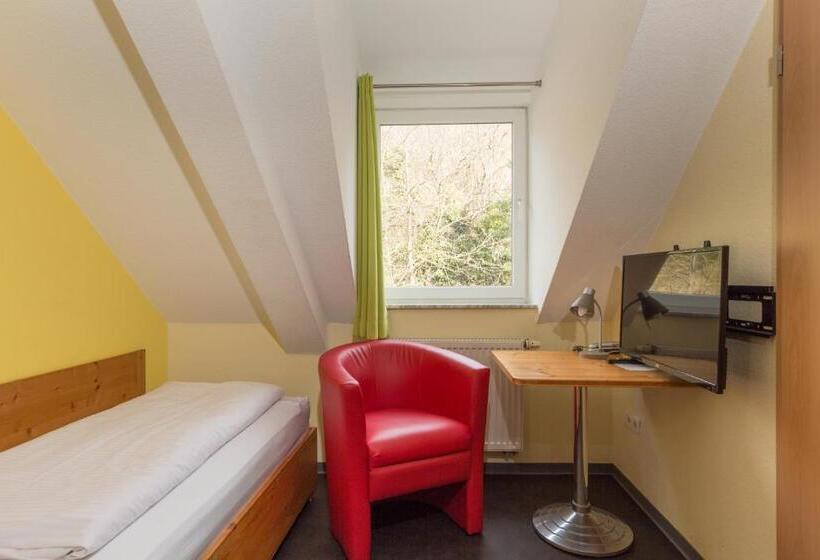 Одноместный Номер Basic, Demling