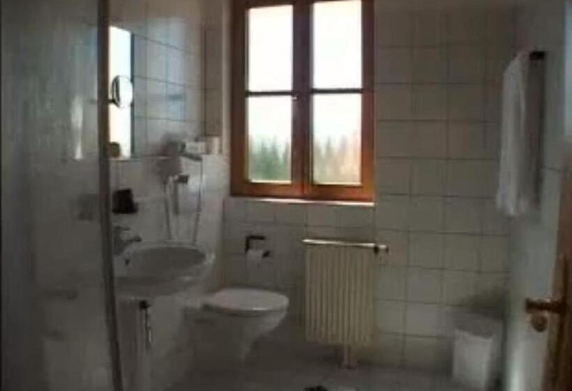 Номер Стандарт Индивидуальный, & Gasthof Zum Rödelseer Schwan