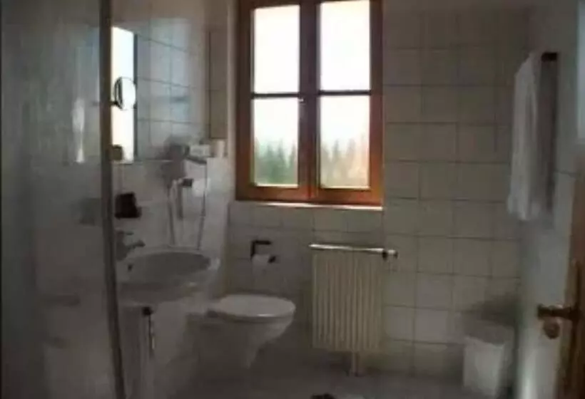 اتاق استاندارد یک نفره, & Gasthof Zum Rödelseer Schwan