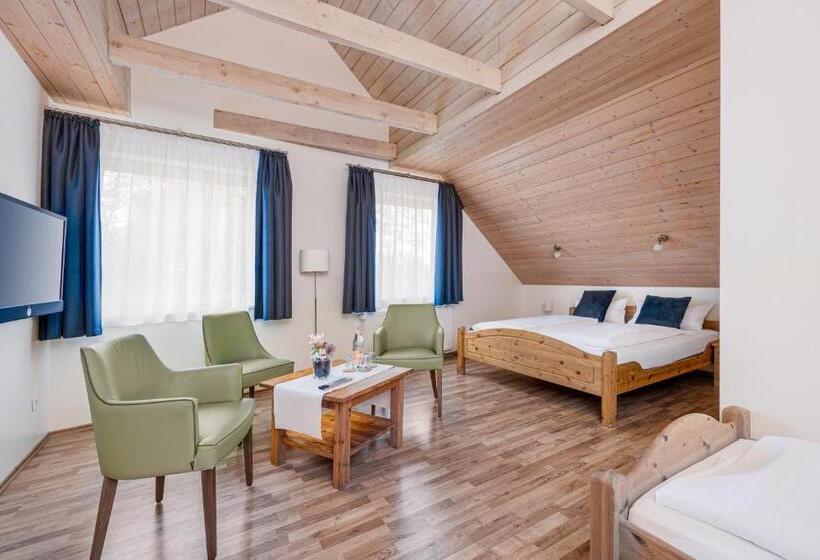 Трехместный Номер Стандарт Вид на Сад, Haus Biederstaedt