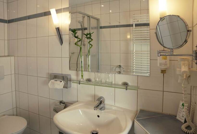 스탠다드 싱글 룸, Hunerbein S Post