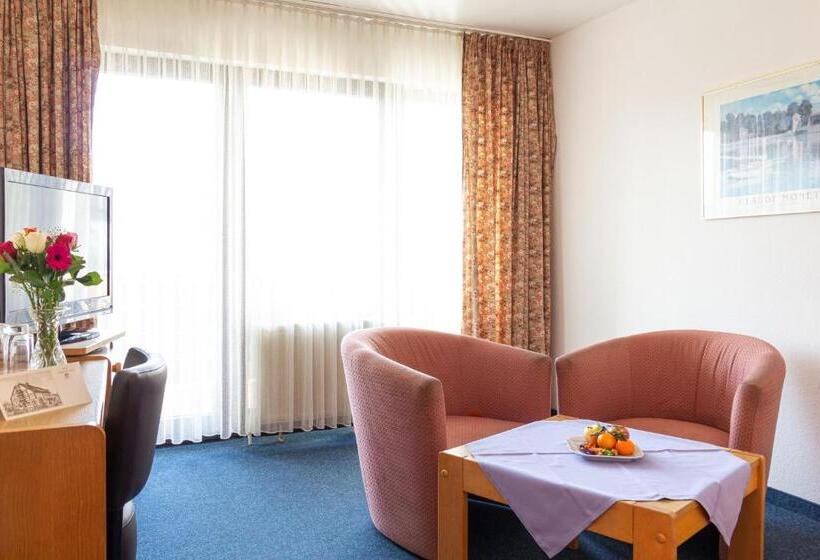 شقة غرفة واحدة, Kelkheimer Hof