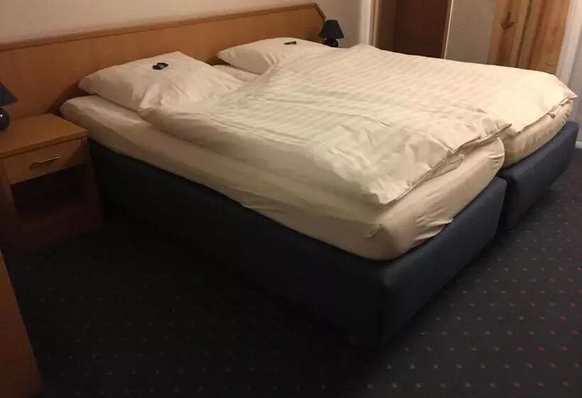 Standard Kolmen Hengen Huone, Landhotel Kussmann