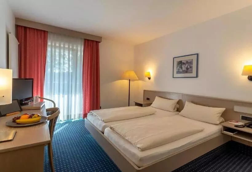 اتاق استاندارد یک نفره, Sporthotel Grünberg