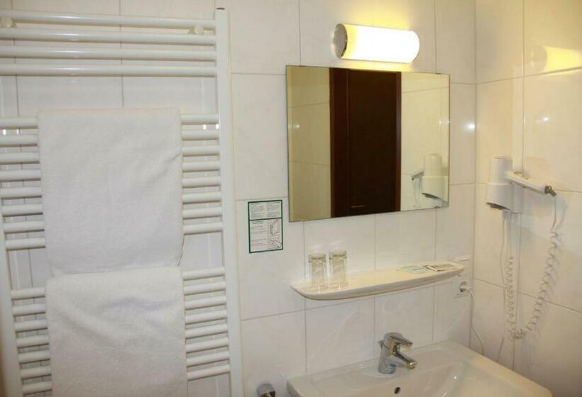 Номер Стандарт, Alpenhotel Brennerbascht