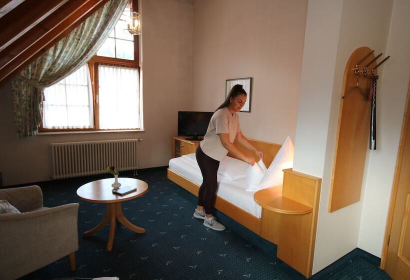 Номер Стандарт Индивидуальный, Restaurant Hirsch