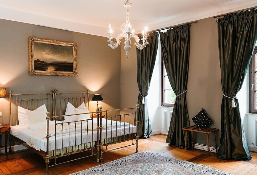 디럭스 룸, Welcome Hotel Schloss Lehen