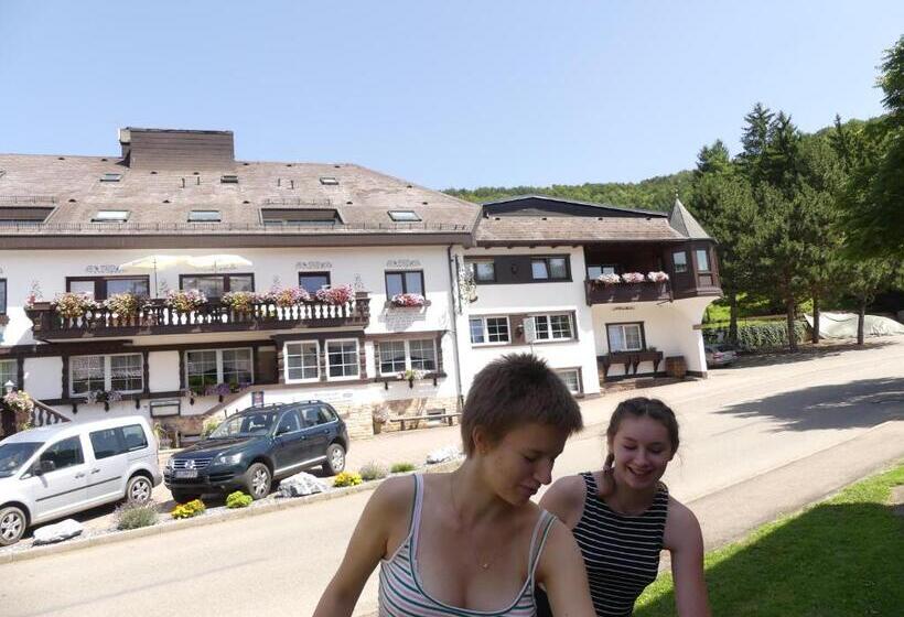 Номер Стандарт, Landhotel Löwen