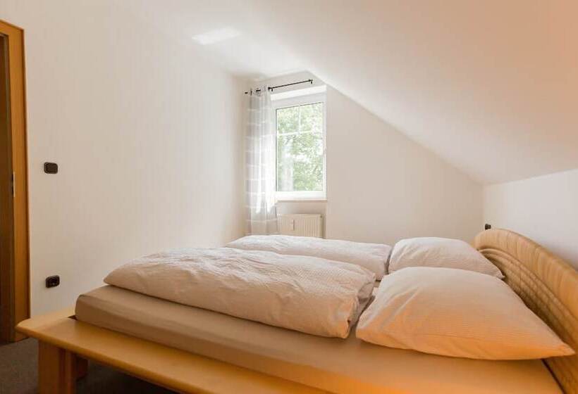 شقة غرفة واحدة, Pension Lutter