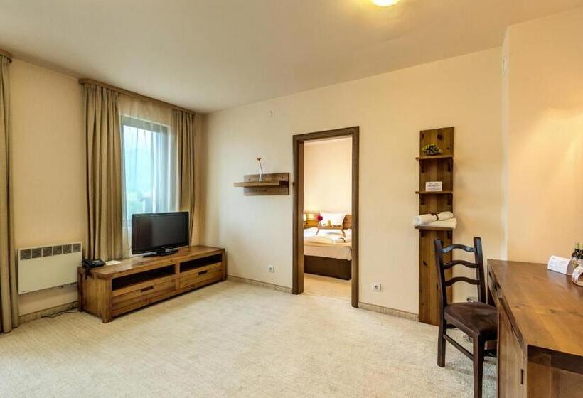 带1个卧室带观景的公寓, 3 Mountains