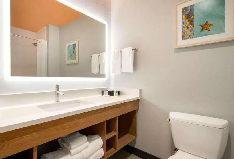 Deluxe-huone, La Quinta Inn & Suites By Wyndham San Antonio Seaworld Lafb