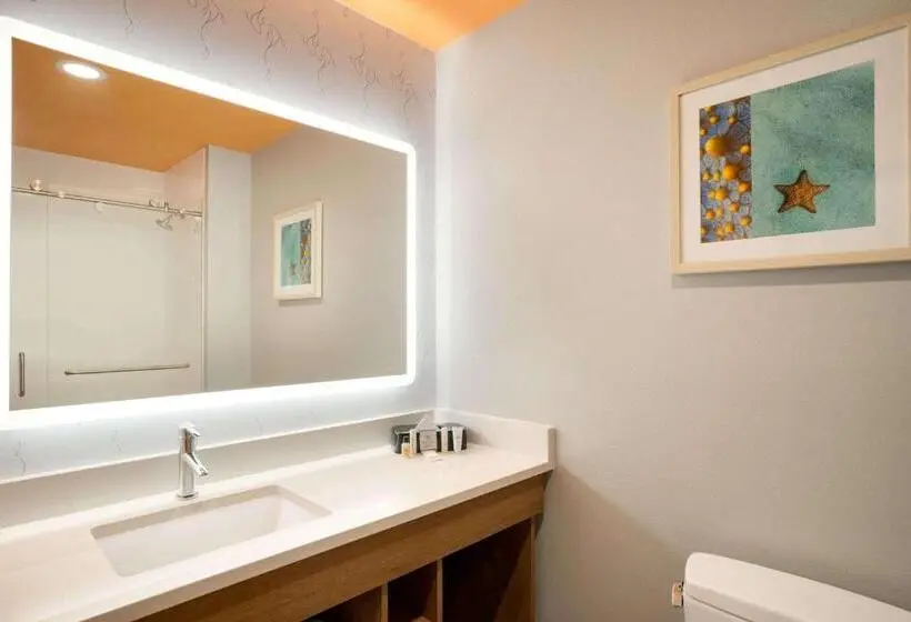 Standard-huone, La Quinta Inn & Suites By Wyndham San Antonio Seaworld Lafb
