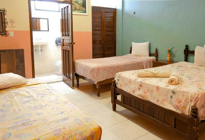 غرفة قياسية رباعية, Casa Palma