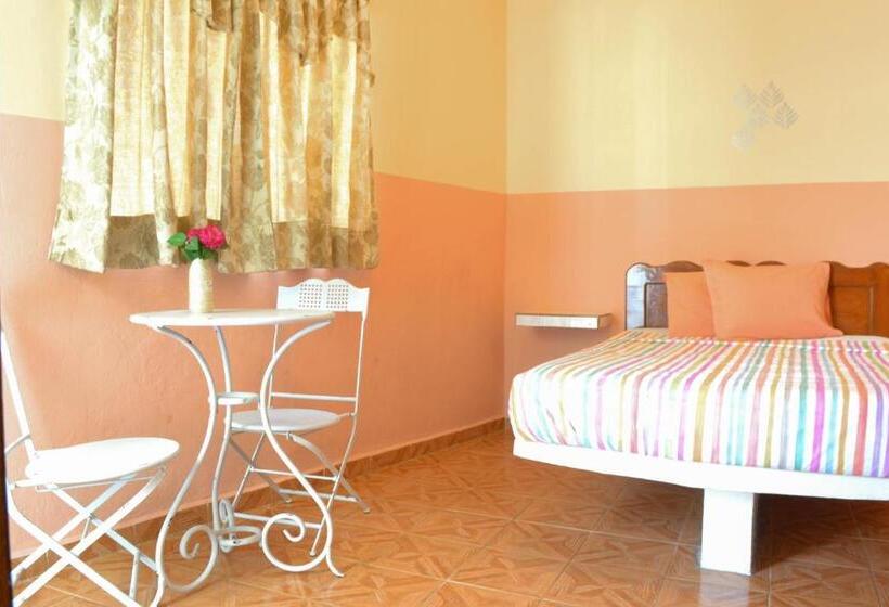 غرفة قياسية مزوَّدة بتراس, Casa Palma