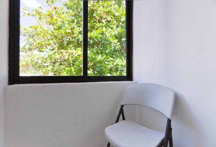 غرفة قياسية مزوَّدة بتراس, Casa Palma