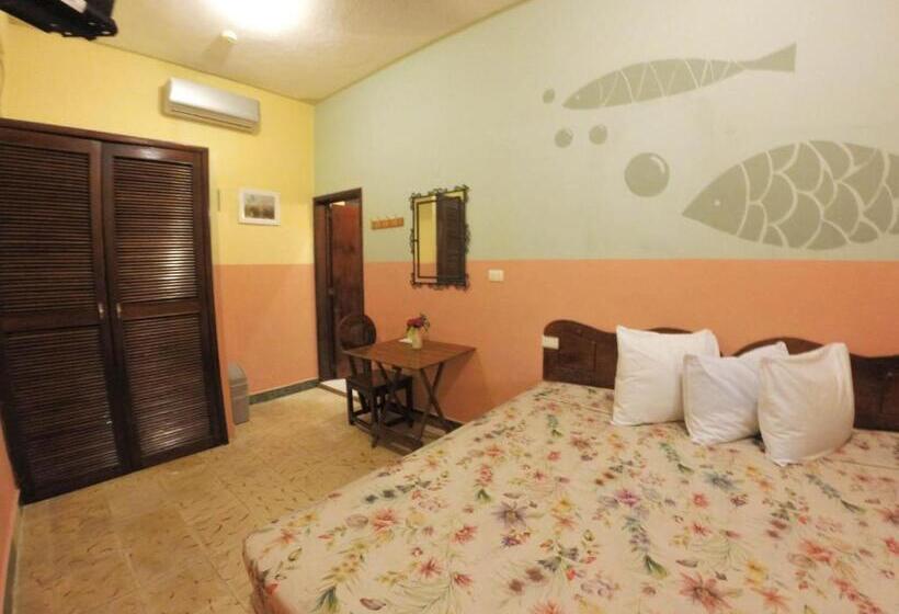 غرفة قياسية, Casa Palma