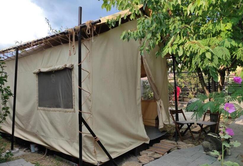 چادر با خدمات رفاهی استاندارد, Glamping Casa Soarelui