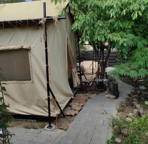 چادر با خدمات رفاهی استاندارد, Glamping Casa Soarelui
