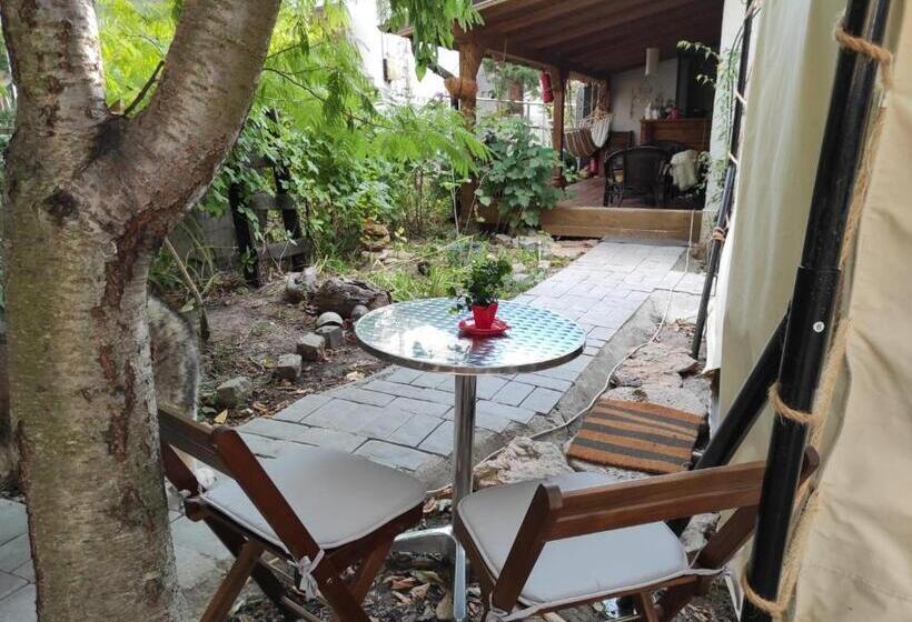 چادر با خدمات رفاهی استاندارد, Glamping Casa Soarelui
