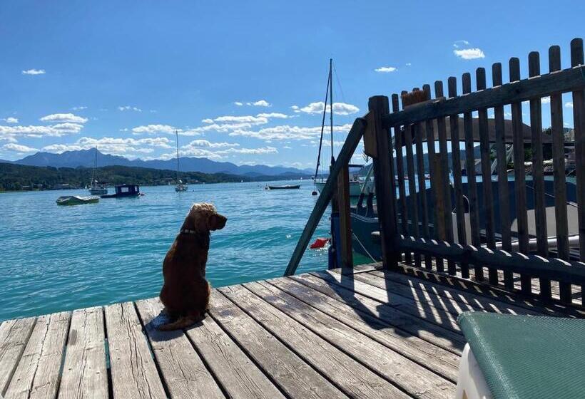 Номер Superior, Villa Gabriela