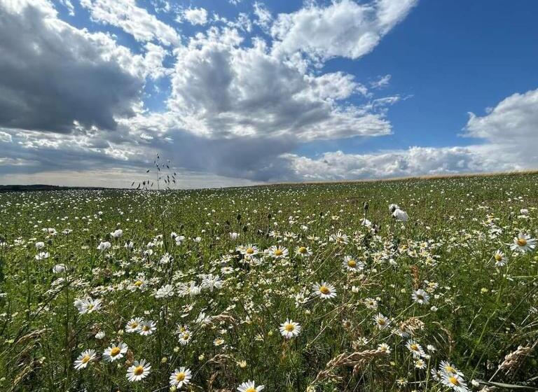 Lejlighed 1 Soveværelse Haveudsigt, Na Statku Babiččino údolí