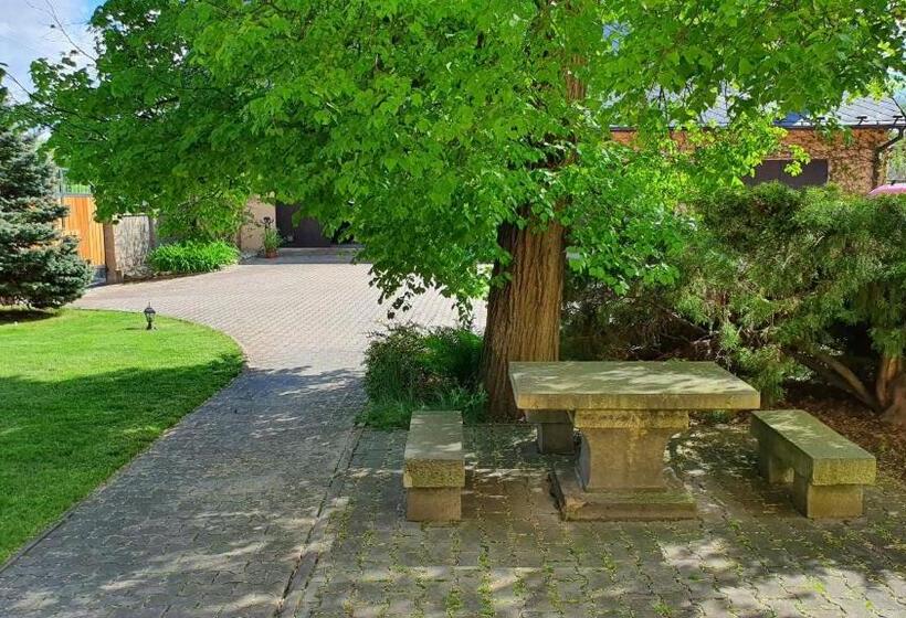 Familie Studio, Na Statku Babiččino údolí