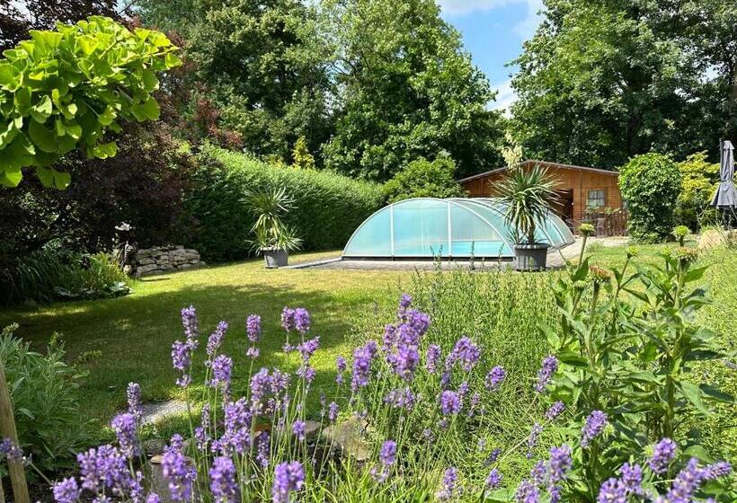 Standard Studio Kingsize Seng, Na Statku Babiččino údolí