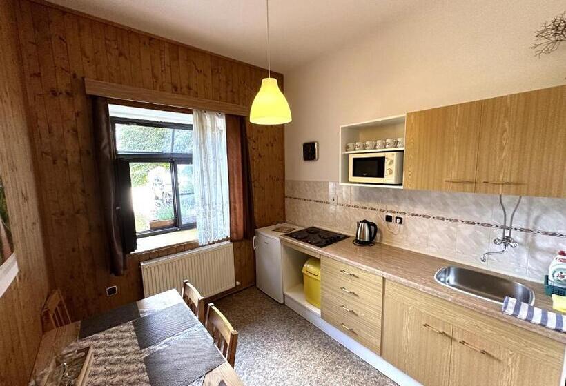 Lejlighed 1 Soveværelse, Na Statku Babiččino údolí