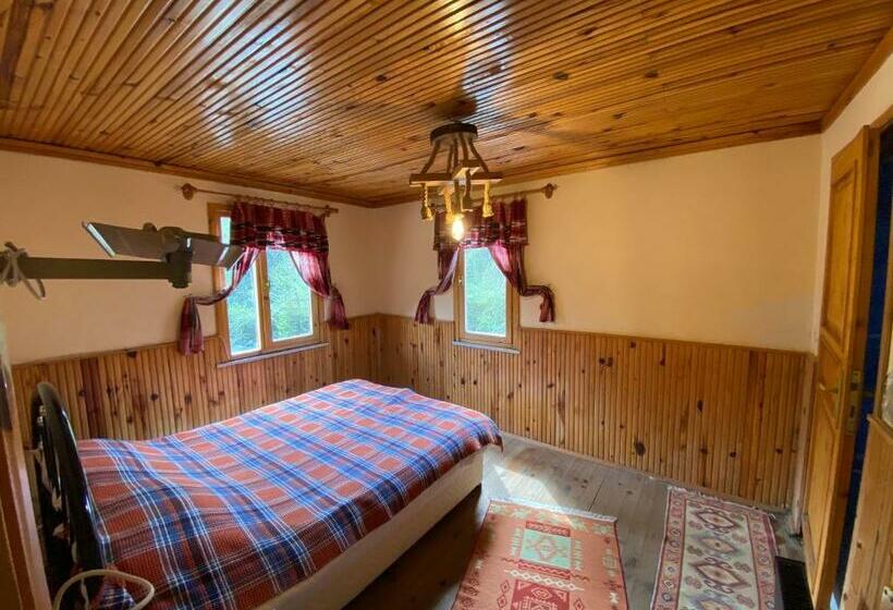 Номер Стандарт, şimşirligöl