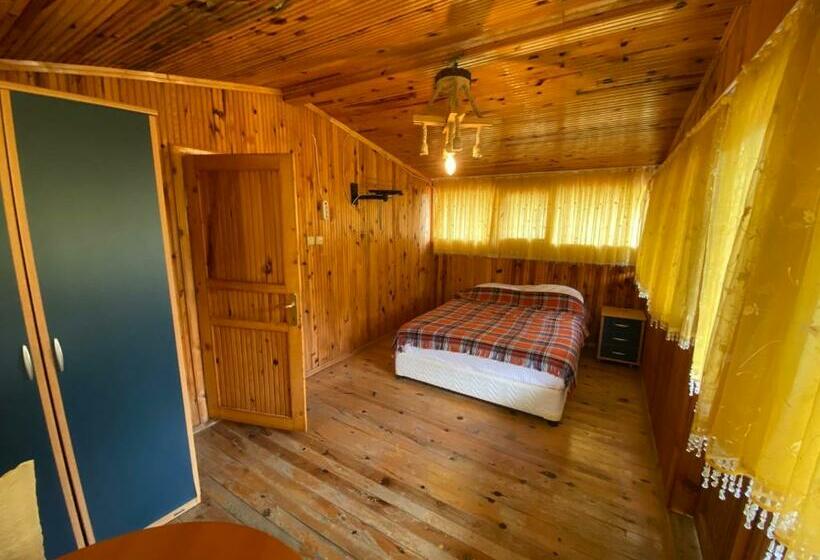 Номер Стандарт, şimşirligöl