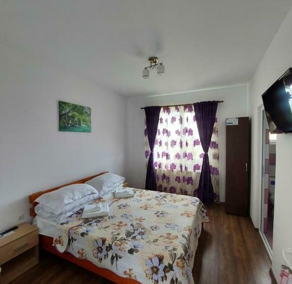 Номер Стандарт, Casa De La Baltă