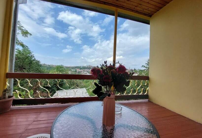 اتاق استاندارد با تراس, Guesthouse Door In Sighnaghi