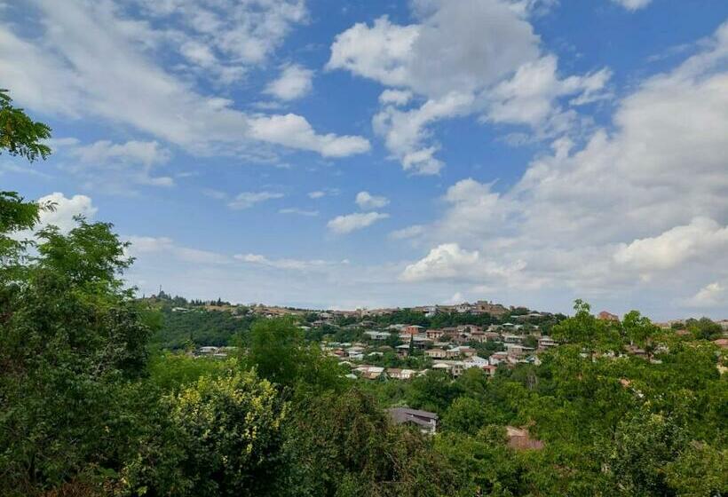 اتاق استاندارد با تراس, Guesthouse Door In Sighnaghi