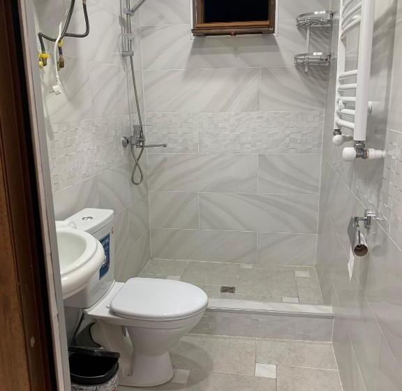 اتاق استاندارد با چشمانداز کوهستان, Guest House Diana