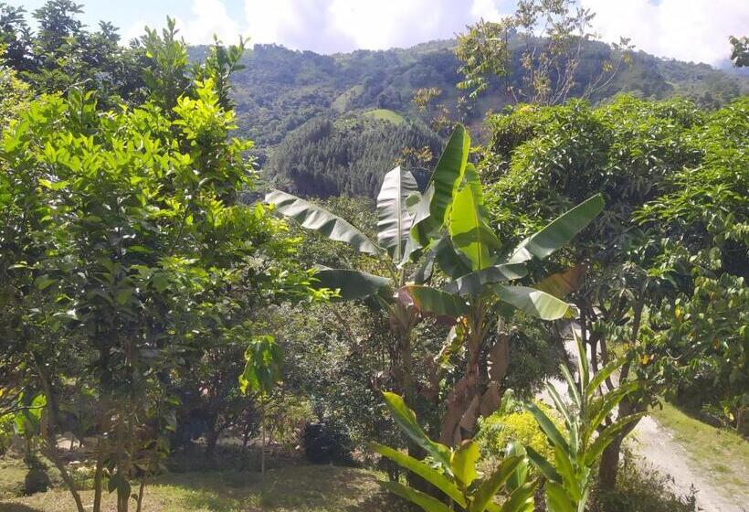 غرفة قياسية, Eco Aldea Topacio