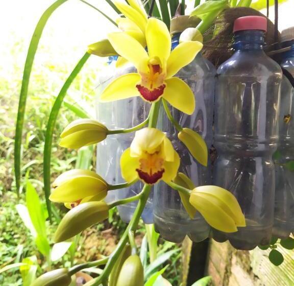 غرفة قياسية ثلاثية, Eco Aldea Topacio