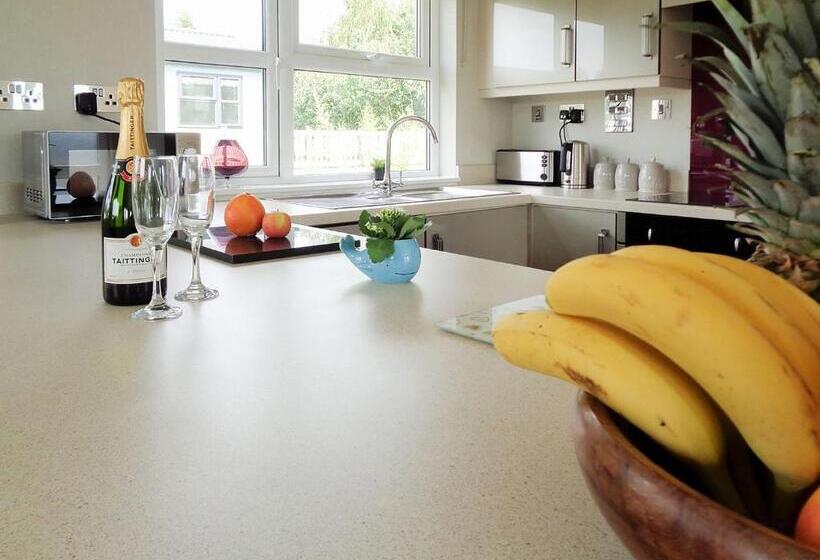 Дом 3 Спальни, Otters Mead Boutique Lodges