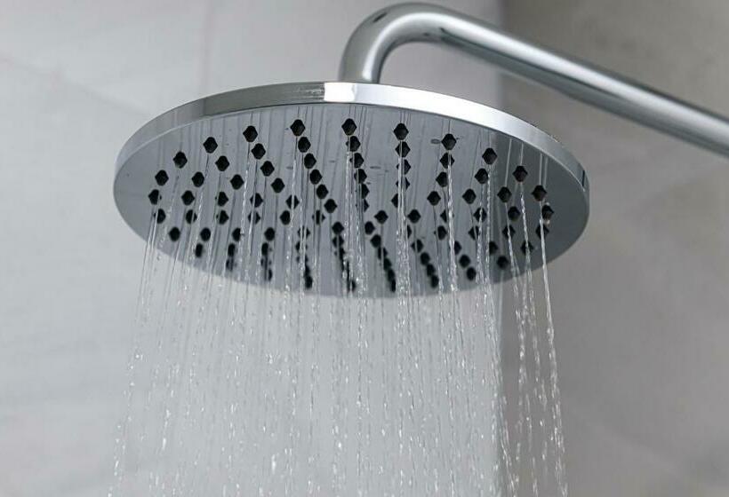 Standardrum, Maple Valley Guesthouse