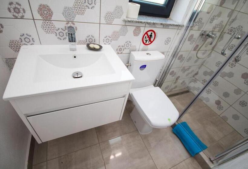 اتاق استاندارد با چشمانداز باغ, Pensiunea Ionelia