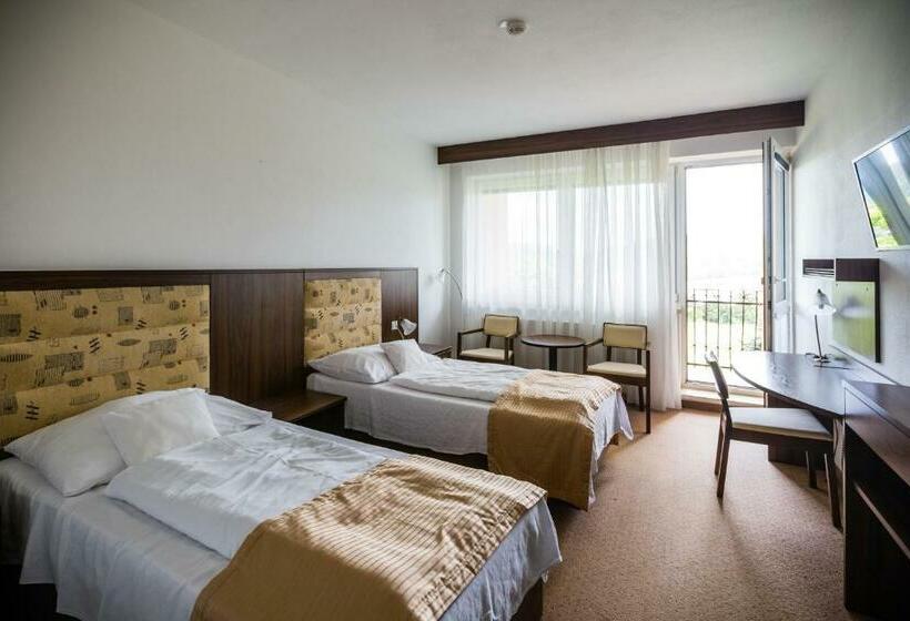 חדר סופריור, Lázeňský A Wellness Hotel Nivamare