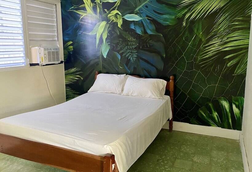 スタンダードルーム, Martin